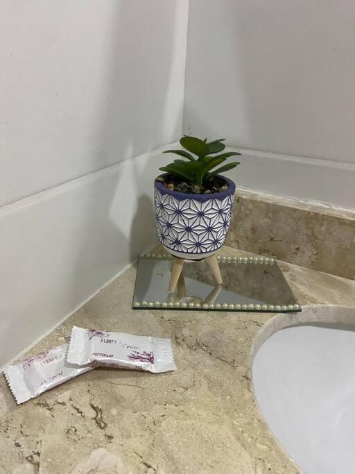 Flat Elegante E Bem Localizado Apartman Feira de Santana Kültér fotó